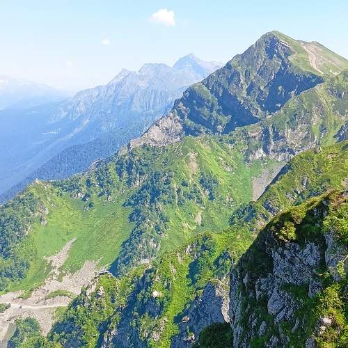 Photo #9606455