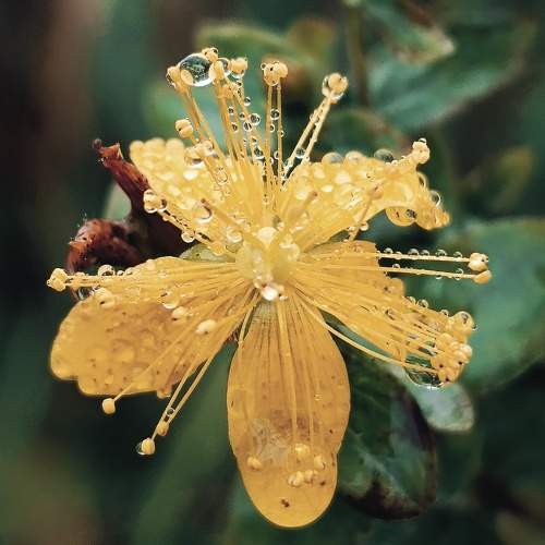 Photo #9606469