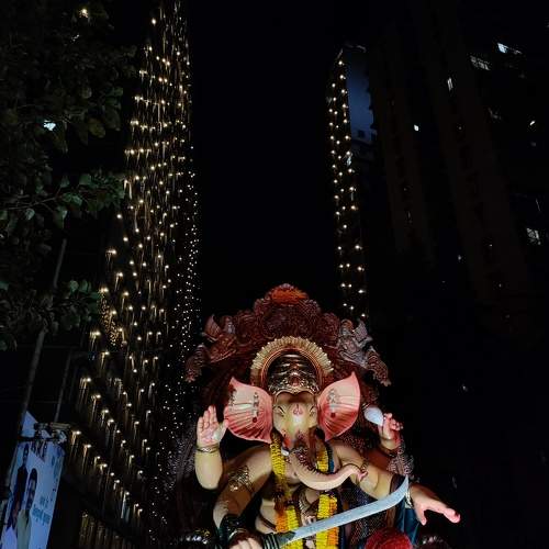 Photo #9606589