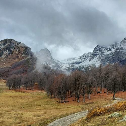 Photo #9606601