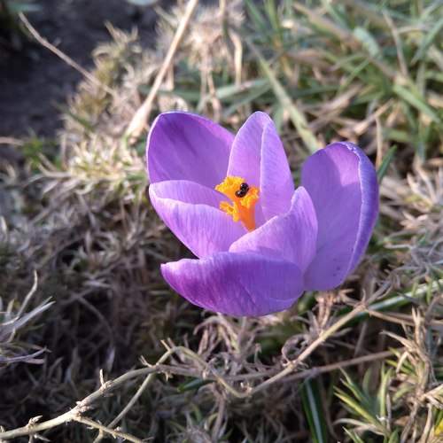 Photo #9606744