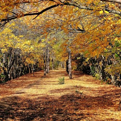 Photo #9606823
