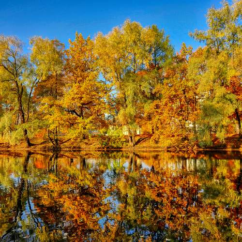 Autumn