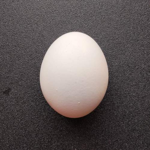 Photo #9607296