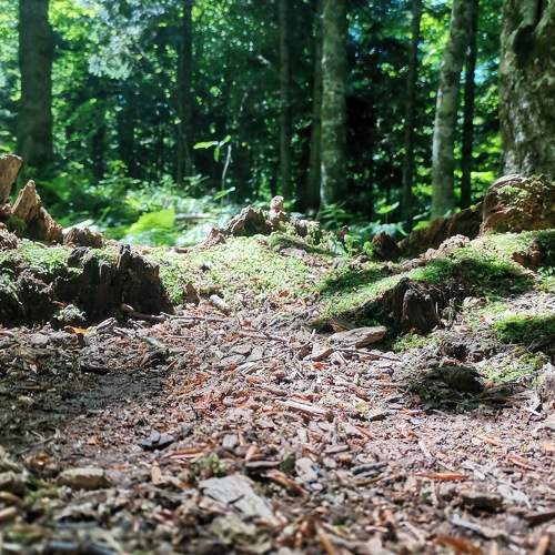 Photo #9607456