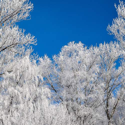 Photo #9607457