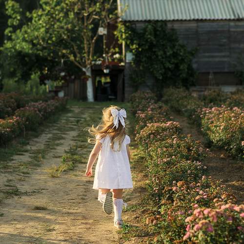 Photo #9607789