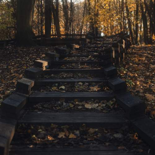 Photo #9608083