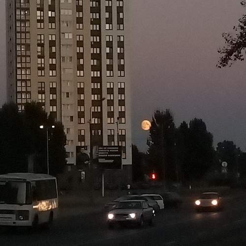 Photo #9608179