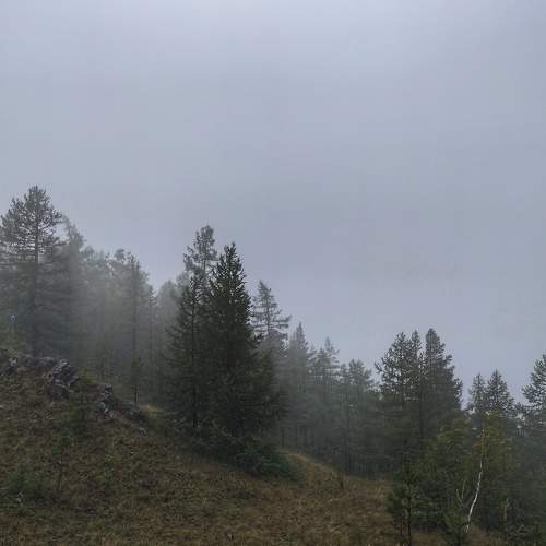 Photo #9608619