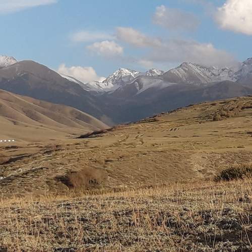 Photo #9608695