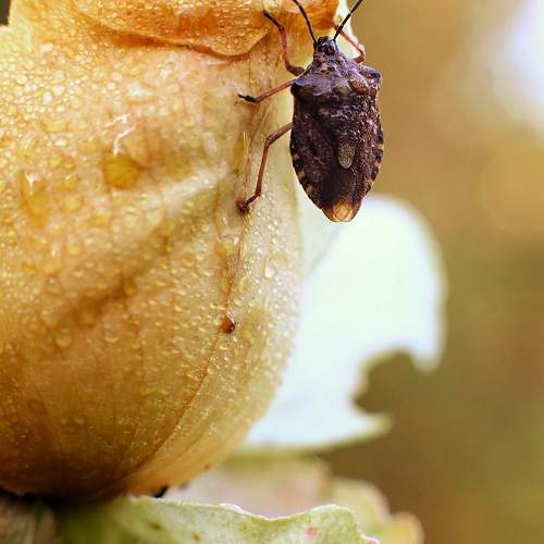 Photo #9608874