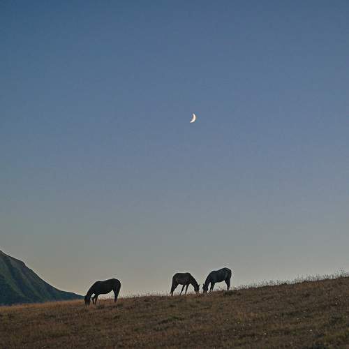 Photo #9609139
