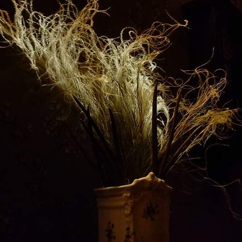 Photo #9609145