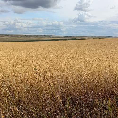 Photo #9609259