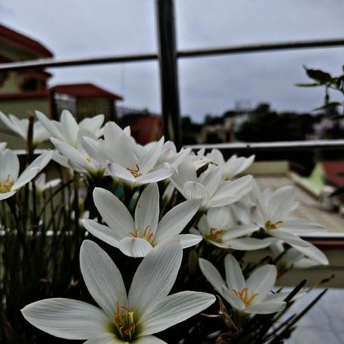 Photo #9609331