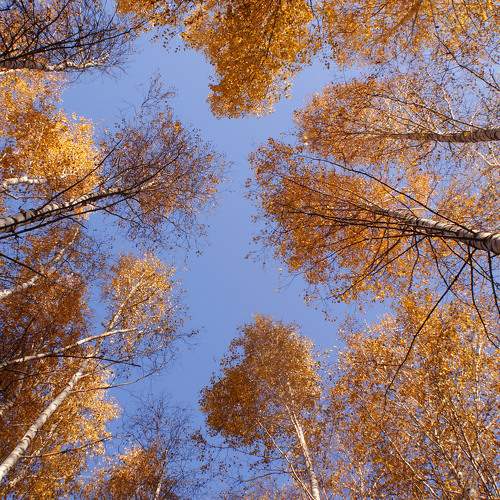 Photo #9609714