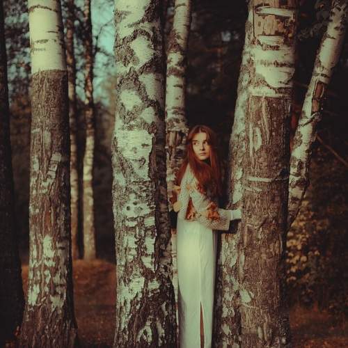 Photo #9609836