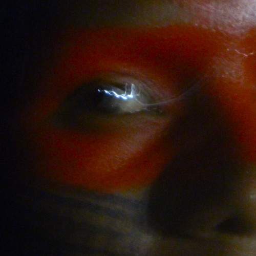 Photo #9609916