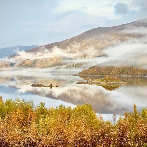 Photo #9609957