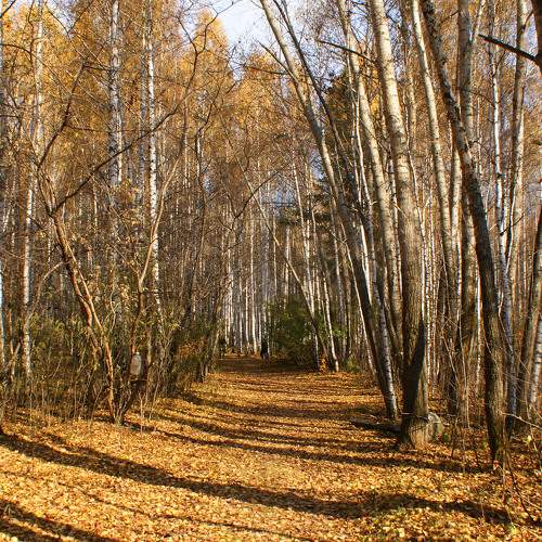 Photo #9610019