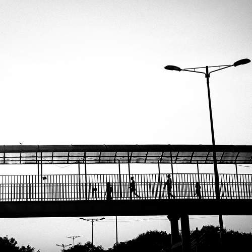 Photo #9610452
