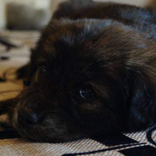 Photo #9610740