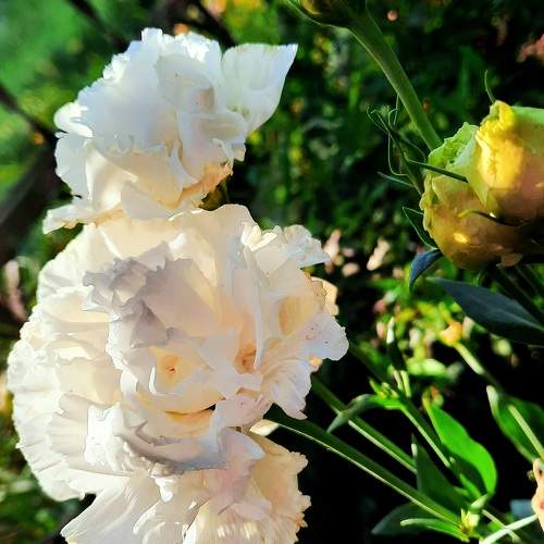 Photo #9610844
