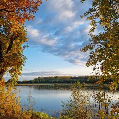 Photo #9610908
