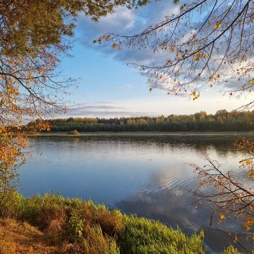 Photo #9610910
