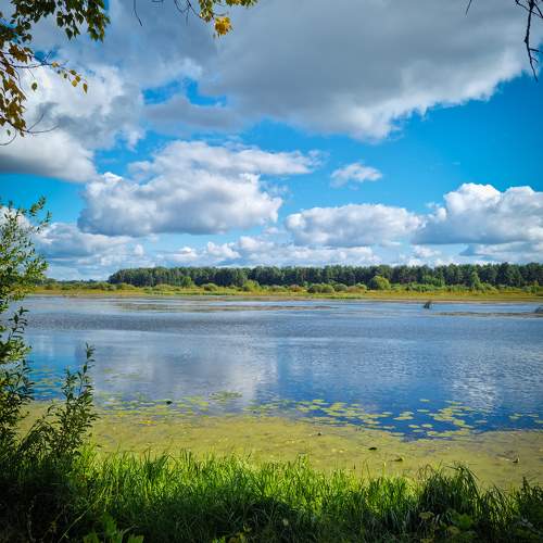 Photo #9610945