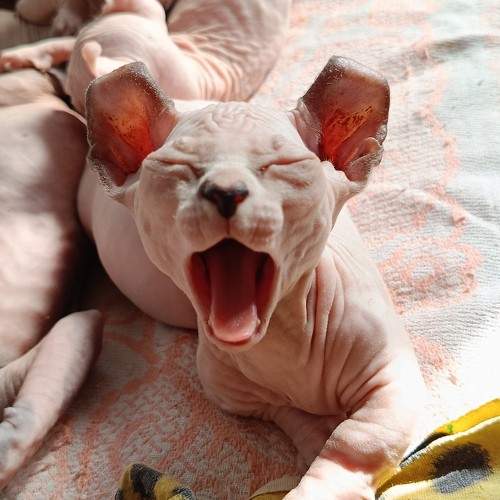Photo #9611751