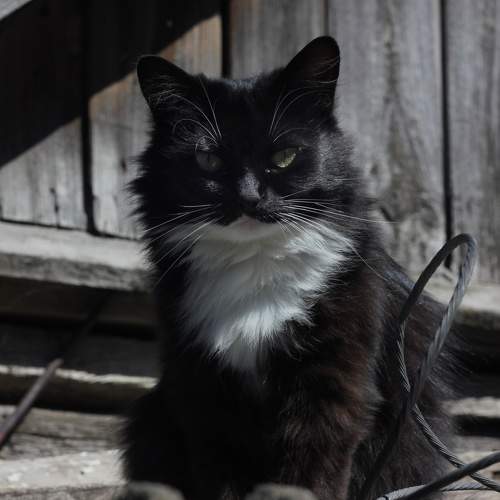 Photo #9612154