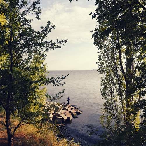 Photo #9612197