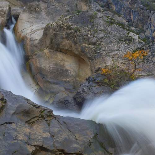 Photo #9612277