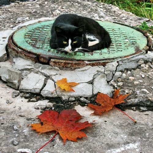 Photo #9612321
