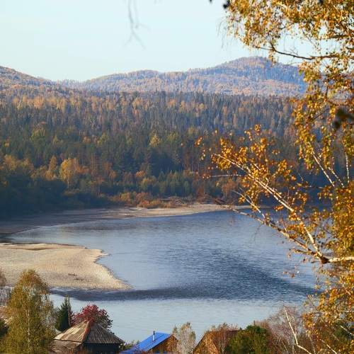 Photo #9612654