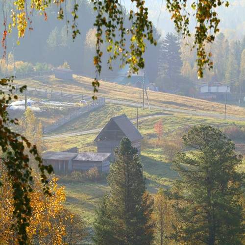 Photo #9612655