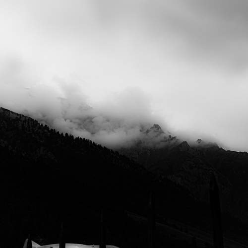 Photo #9612858
