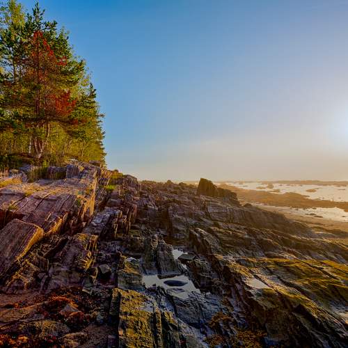 Photo #9612993