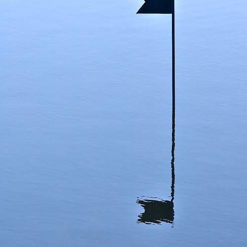 Photo #9613061