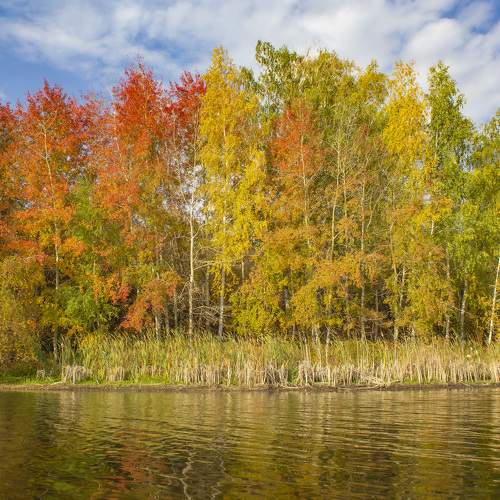 Photo #9613122