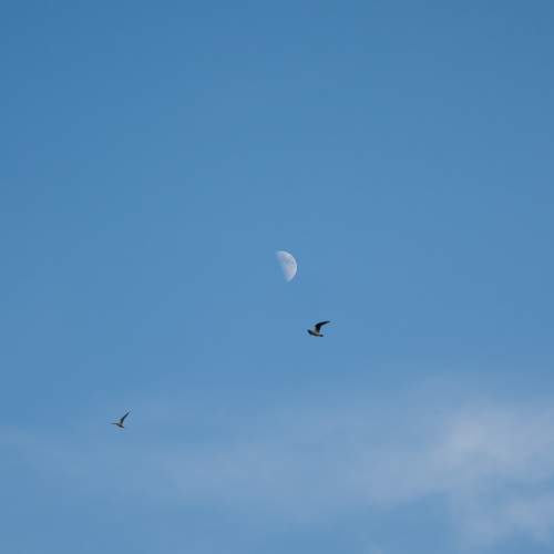 Photo #9613172