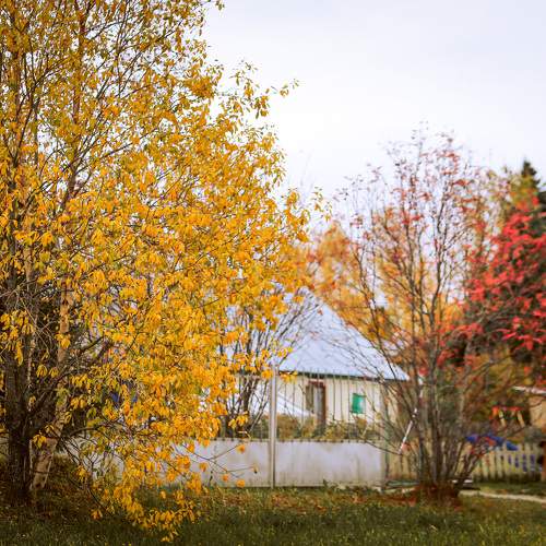 Photo #9613324