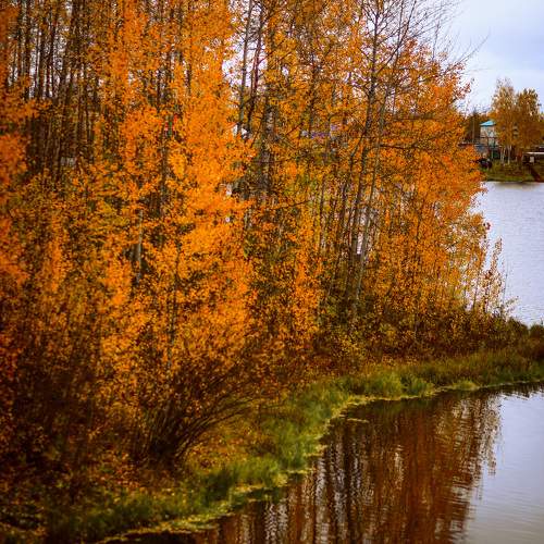 Photo #9613325