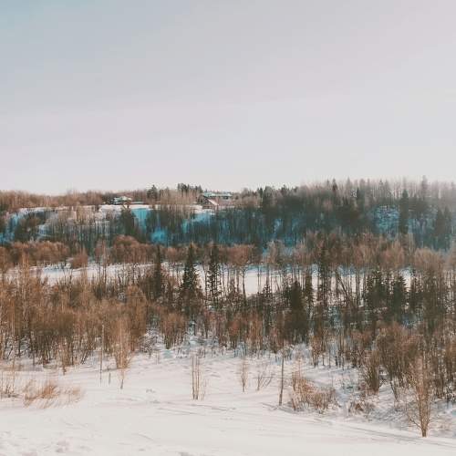 Photo #9613327