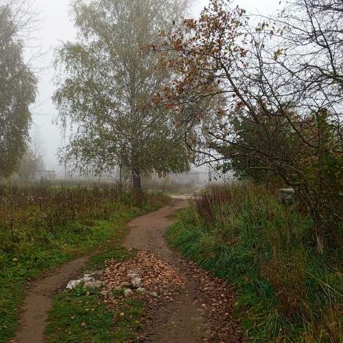 Photo #9613456