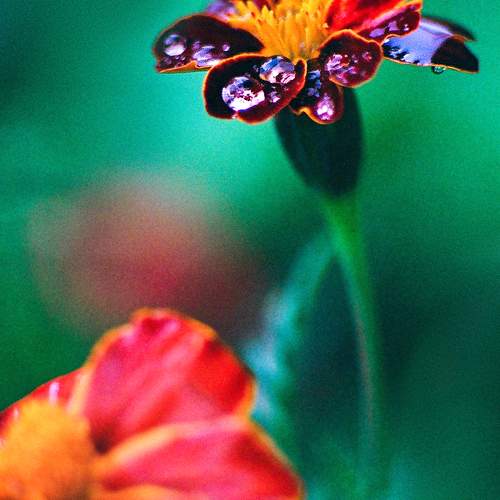 Photo #9613581