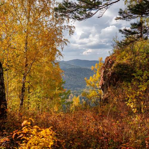 Photo #9613808