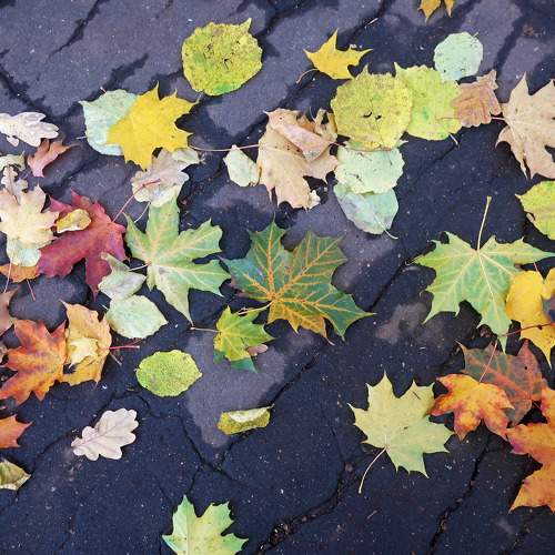 Photo #9613837